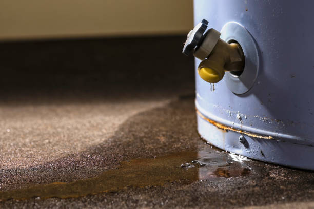 Best Residential water damage restoration  in Aiea, HI