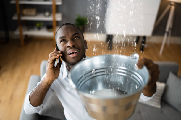 Best Commercial water damage restoration  in Aiea, HI