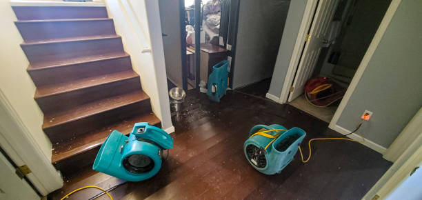 Best Professional water damage repair  in Aiea, HI