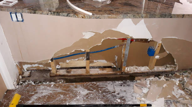 Best Basement water damage restoration  in Aiea, HI