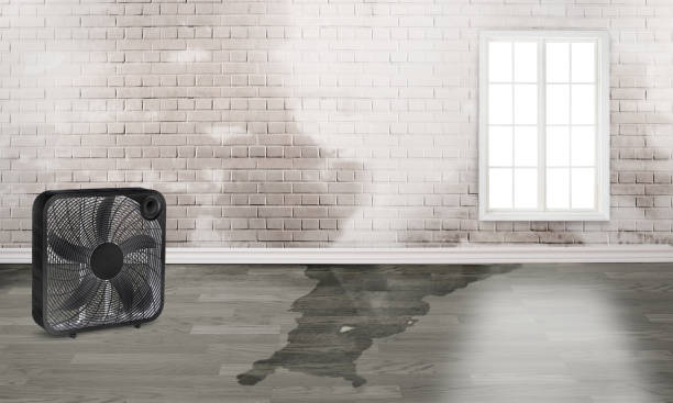 Aiea, HI Water damage restoration Company