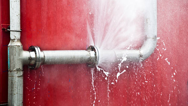 Best Flooded house restoration  in Aiea, HI